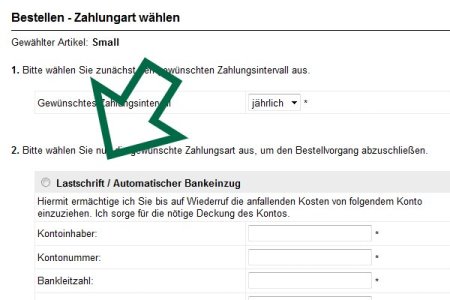 Bestellung aufgeben bei SEOwebs ClassC